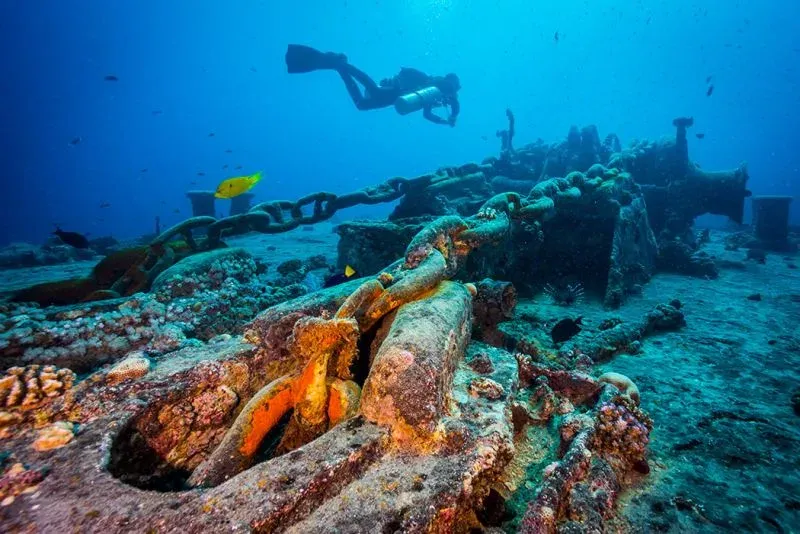 The Mediterranean Sea, Diving