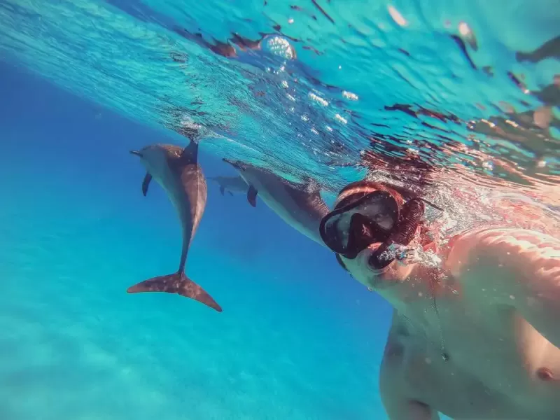 Marsa Alam o Sharm El Sheikh: dove andare in vacanza Marsa Alam o Sharm El Sheikh: dove andare in vacanza