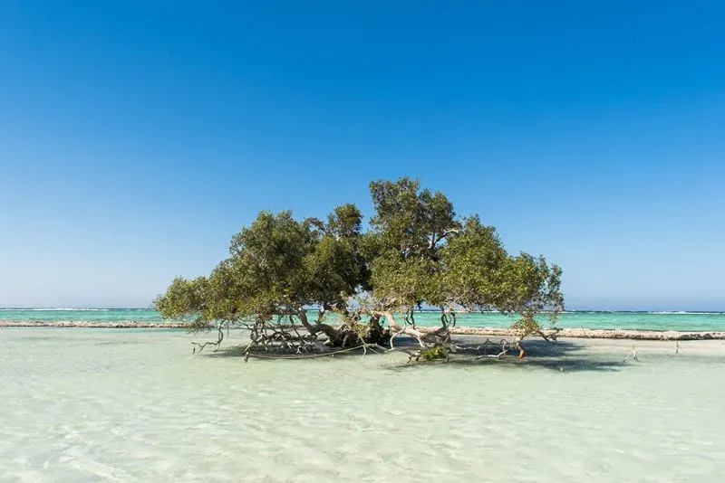 Panorama costiero di Berenice con mare turchese