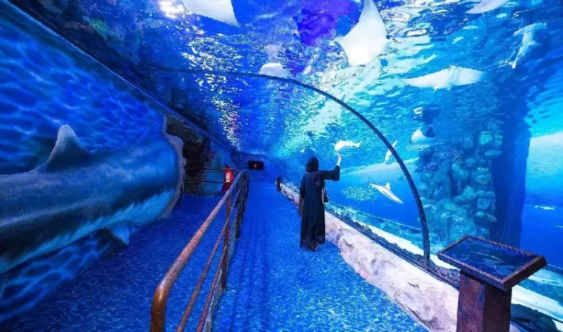 Dubai mall cosa vedere tra Burj Khalifa e Dubai Acquarium