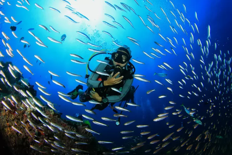 Marsa Alam City, Diving