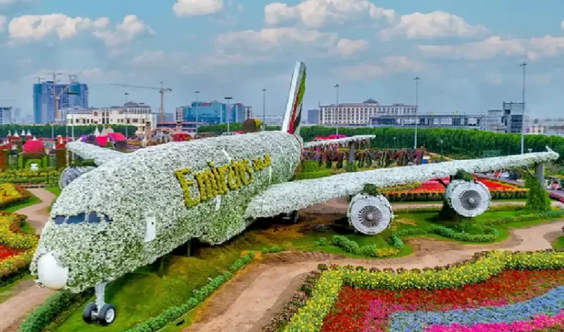 cosa fare a dubai a dicembre con clima perfetto e tour