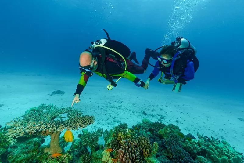 Safaga, Egypt, Diving