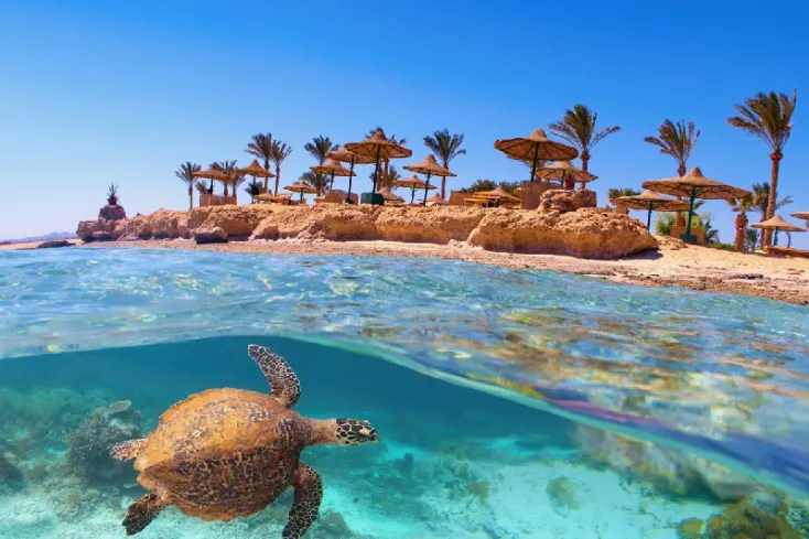 Spiaggia selvaggia e natura intatta a Berenice
