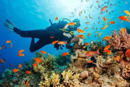 Escursioni Marsa Alam in Italiano: Offerte 2026