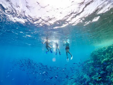 Excursions in Sharm El Sheikh, Diving