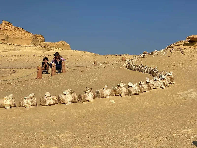 Vacanza al Cairo: Valle delle Balene Wadi Hitan