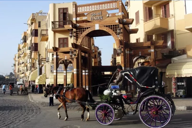 Tour della città di Luxor in carrozza a cavallo lungo il Nilo