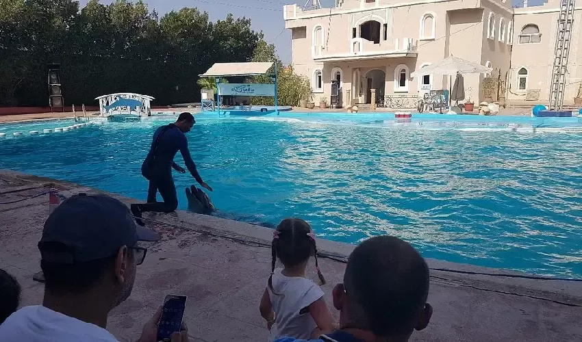 Delfinario Sharm El Sheik spettacolo con i delfini