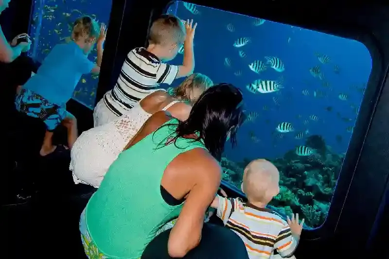 Vista sottomarina dalla cabina di un semi-sottomarino a Hurghada