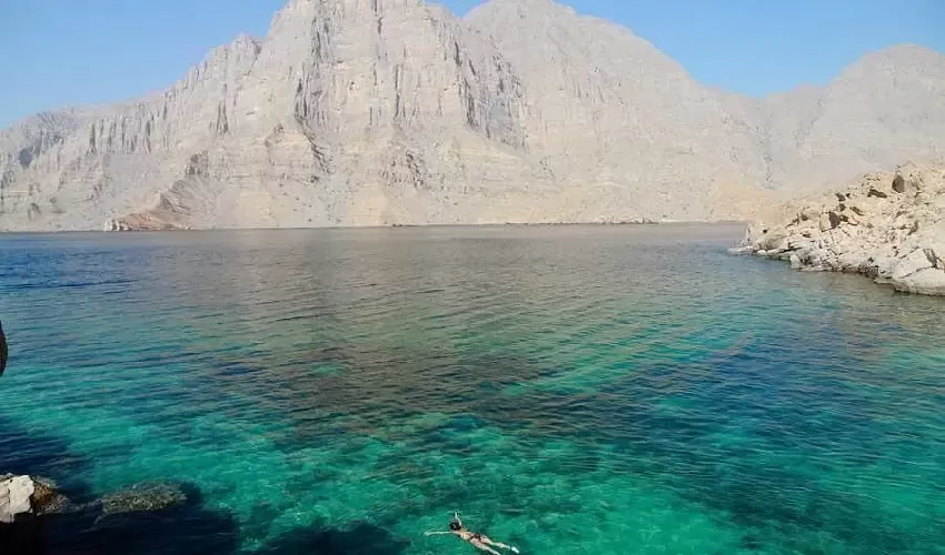 cruise from Dubai to Oman dolphins and blue waters