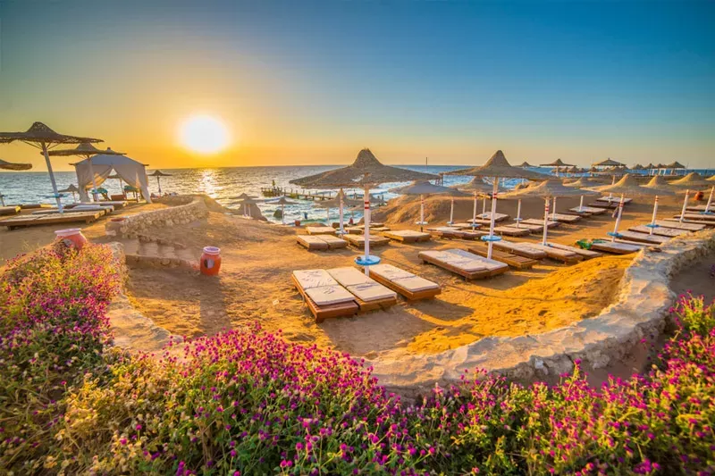 Best Egypt tour package : Discover Cairo & Hurghada stay
