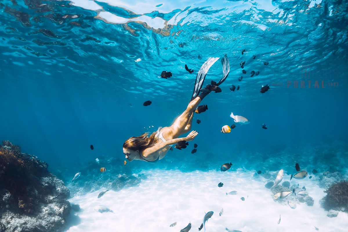 Hurgada Snorkling, woman Diving