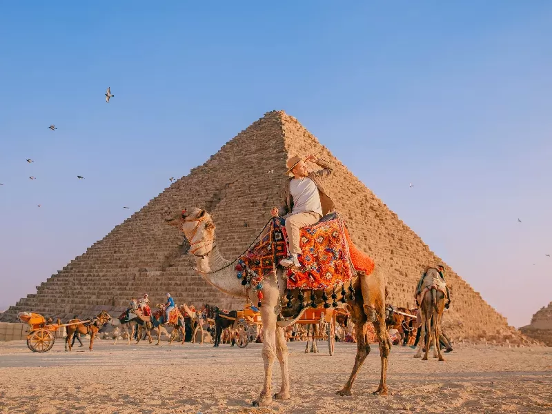 Goditi un indimenticabile cammellata alle Piramidi di Giza