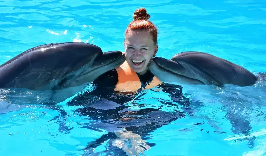 Dolphin Sharm El Sheikh, Girl Swimming with Dolphins