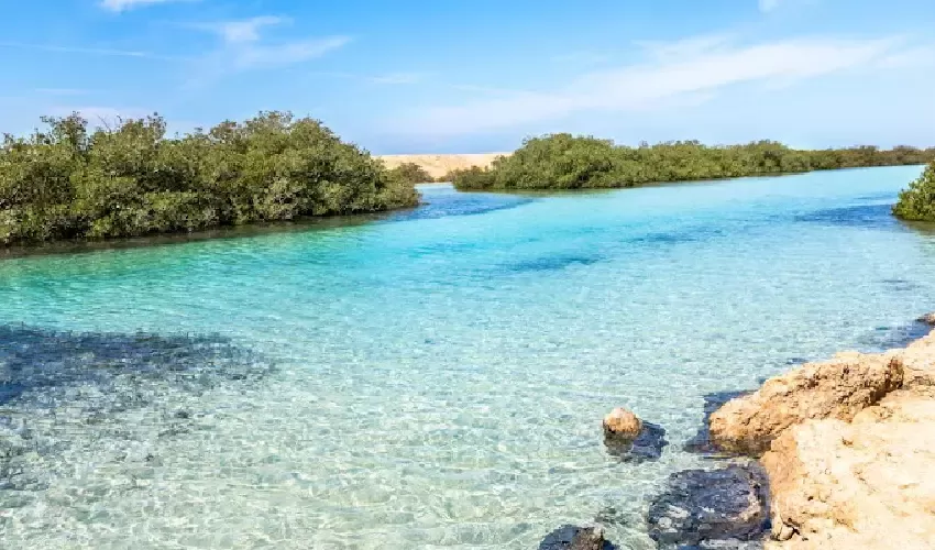 Escursione Isola Bianca Sharm e barriera corallina