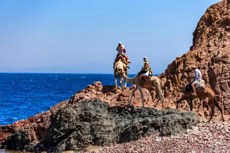 Quad Biking in Egypt Sharm El Sheikh, Riding Camel