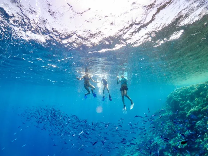 Egypt Tour Packages from Australia, Diving