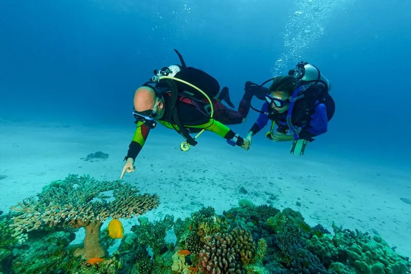 Best Egypt tours from Canada, Diving