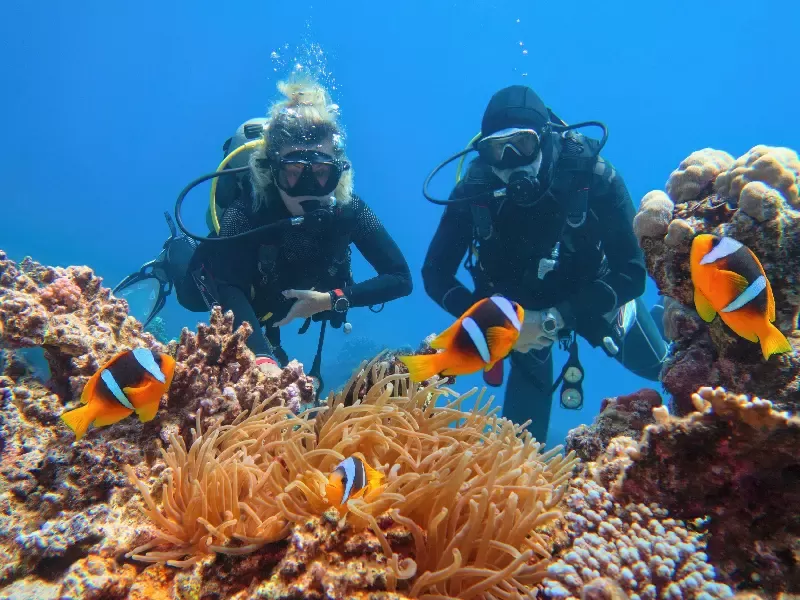 Diving a Sharm El Sheikh: un mondo sottomarino da scoprire