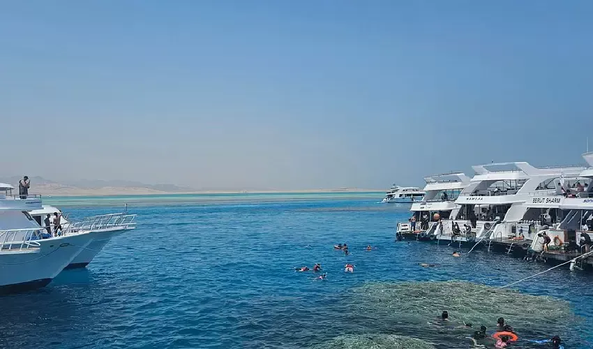 Ras Mohamed Diving, Sharm El Sheikh