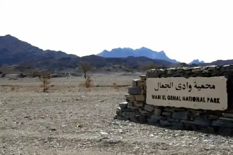 Wadi El Gemal National Park Tours Adventure