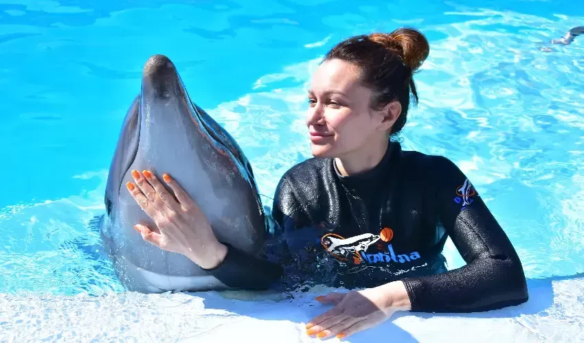 Dolphin Sharm El Sheikh, Dolphin and a Girl