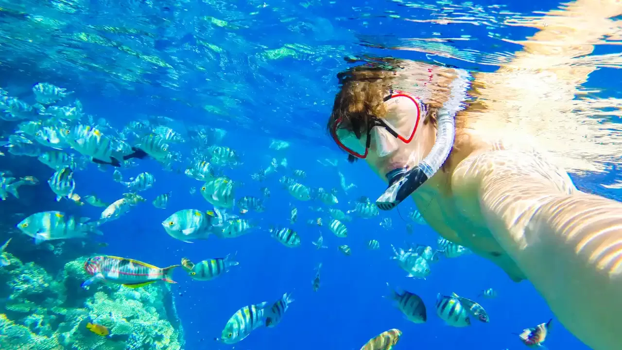La bellezza del Mar Rosso a Marsa Alam un paradiso naturale