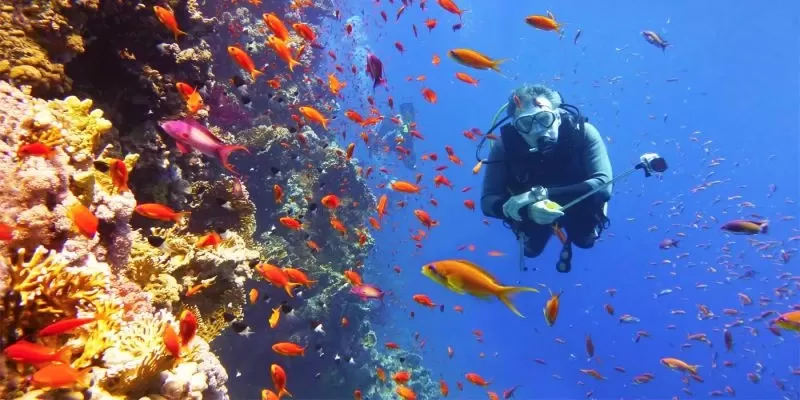 Egypt Itinerary 10 Days: Pyramids, Nile & Sharm El Sheikh