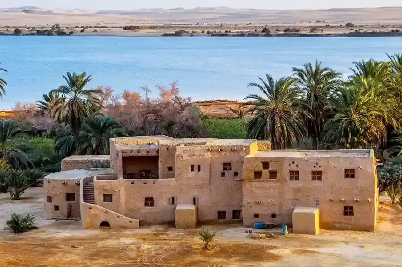 Tour Oasi Egitto: Oasi di Bahariya palmeti e sorgenti naturali