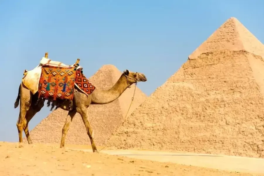 Cairo Tour from Sharm El Sheikh, Camel Ride