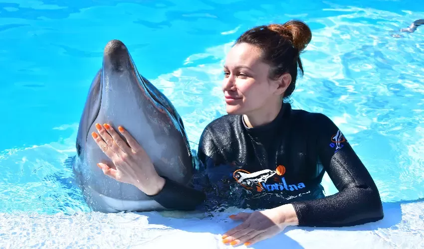 Delfinario Sharm El Sheik incontro con i delfini