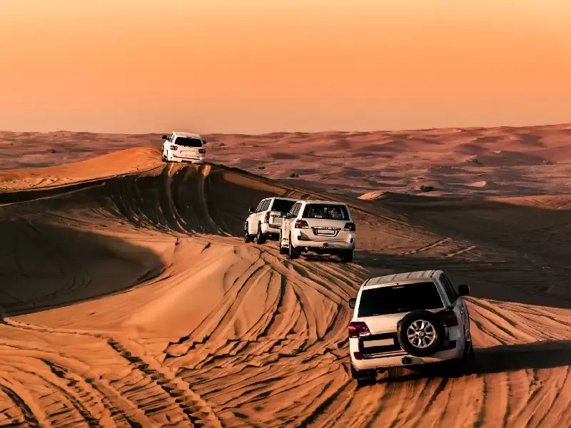 Tour deserto Dubai tra dune dorate e avventura