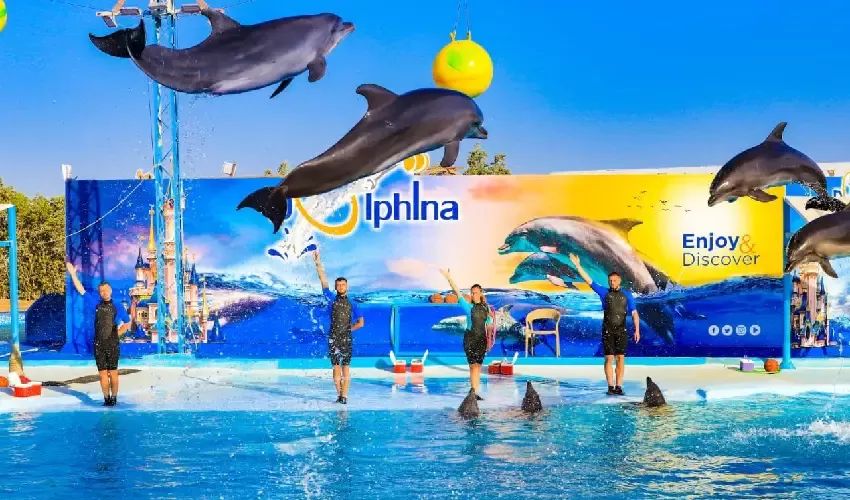 Delfinario Sharm El Sheik spettacolo emozionante