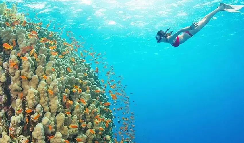 Ras Mohamed Diving, Sharm El Sheikh