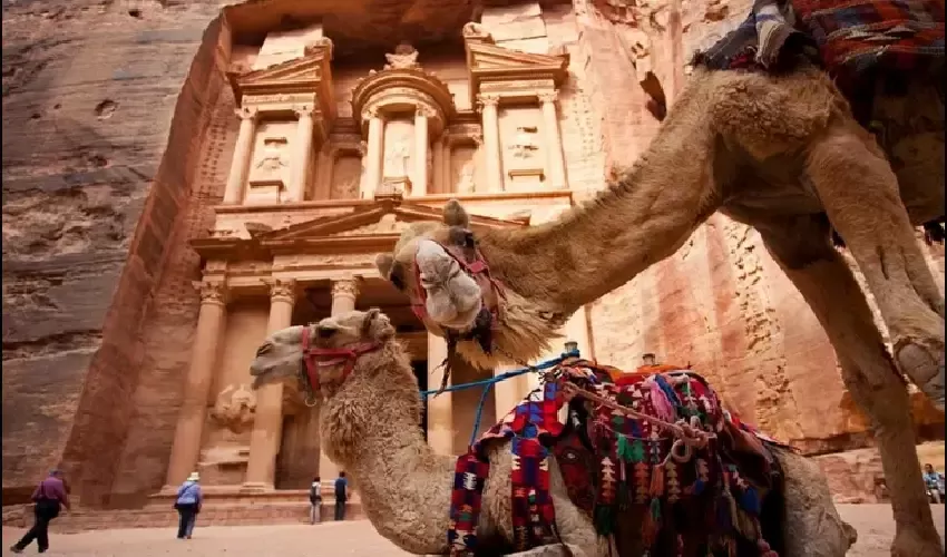 Escursione a Petra da Sharm el Sheikh tra i canyon rosa