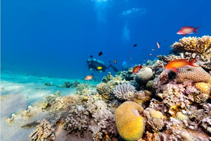 Diving at Hurghada : Explore Egypt’s colorful coral reefs