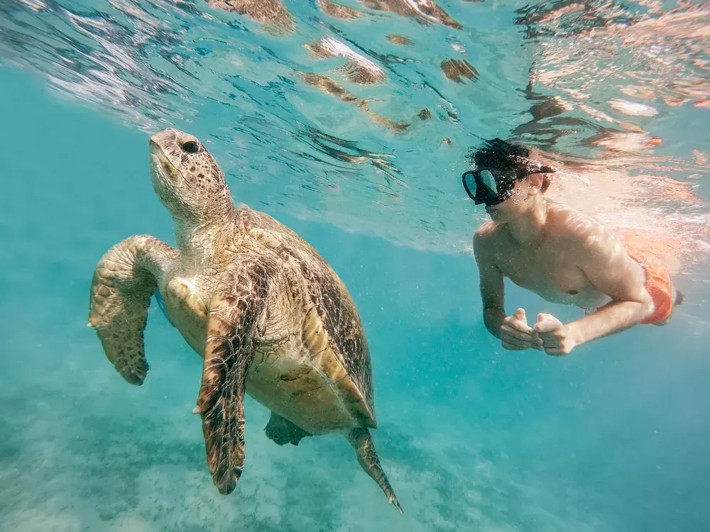 Viaggio Egitto a Capodanno: sole e relax a Marsa Alam