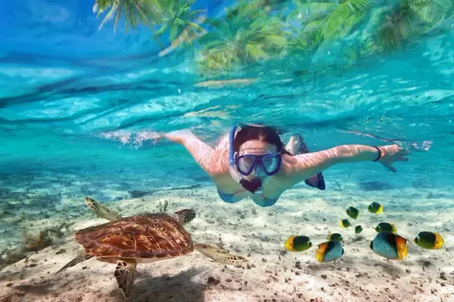 Snorkeling nel Mar Rosso - un'esperienza tra colori e coralli