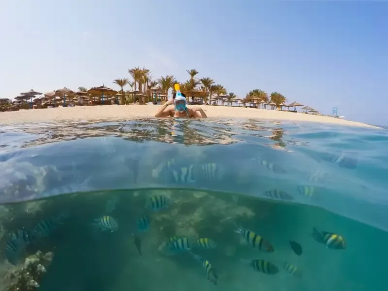 Snorkeling a Marsa Alam un avventura unica