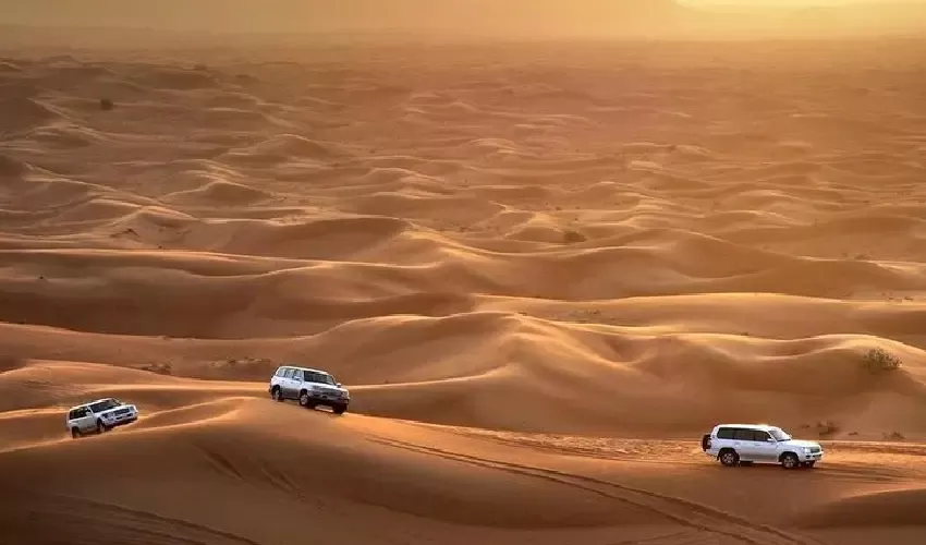 Desert Safari Abu Dhabi – dune bashing and camel riding